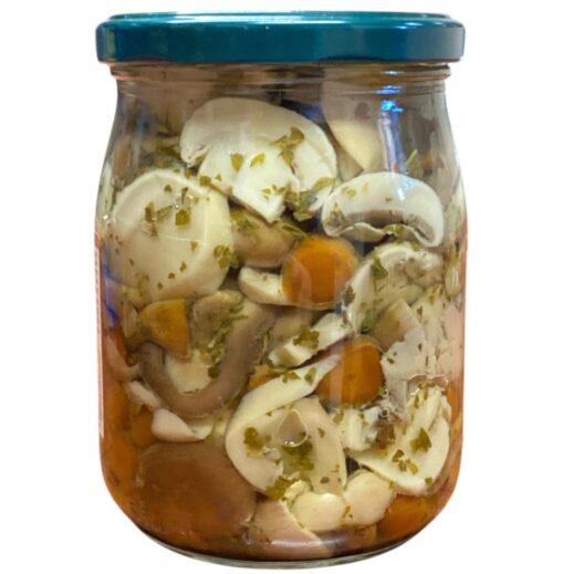 Fantasia di Funghi Delizia in Olio di Semi di Girasole – 580ml | Troilo